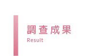 調查成果