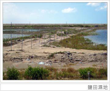 鹽田濕地